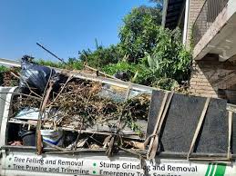 Best Same-Day Junk Removal Services  in Grand Rapids, MN